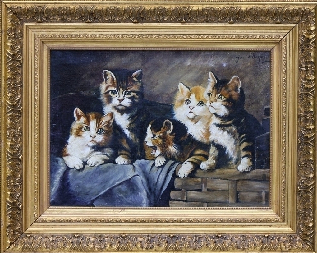 Котята